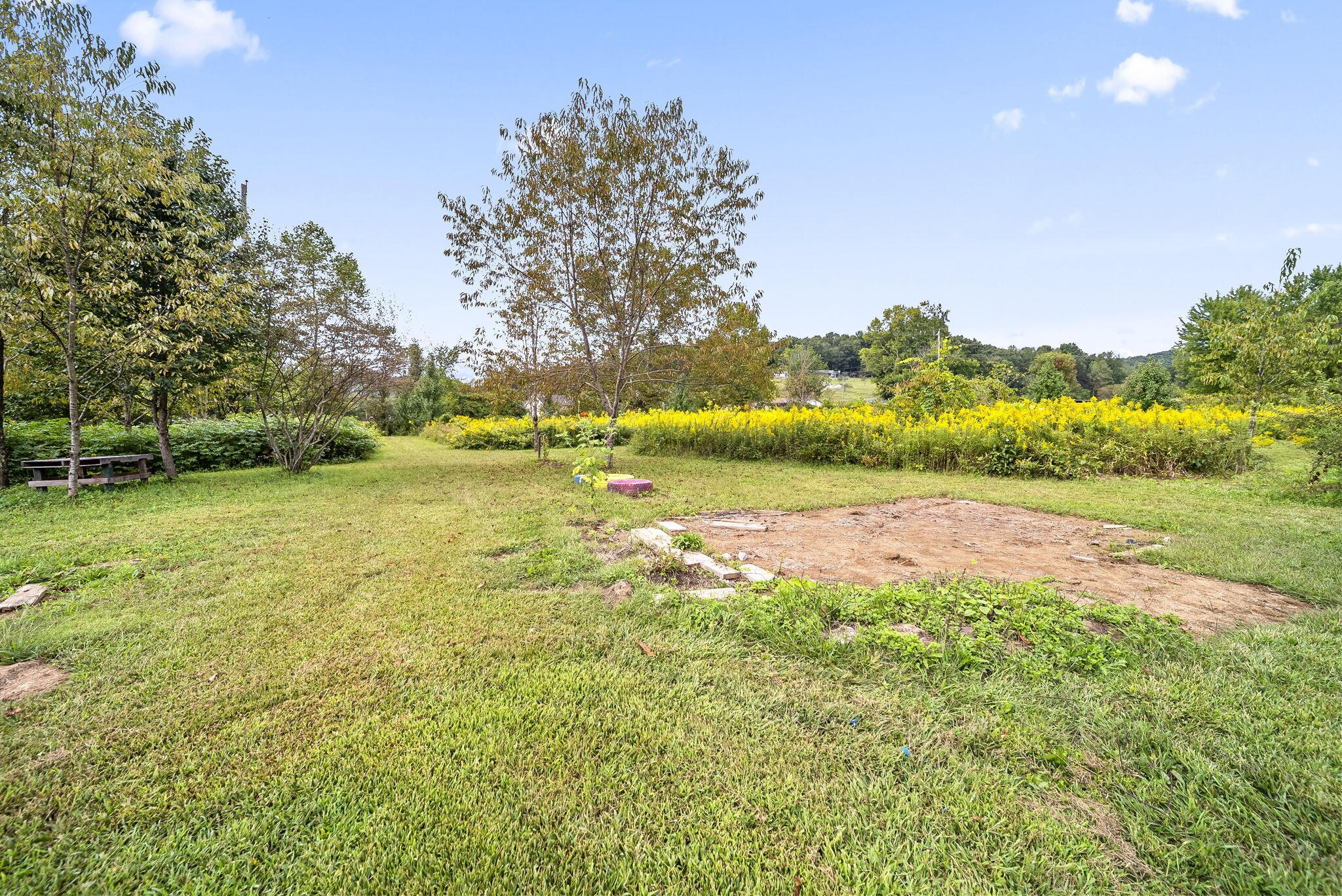 51-web-or-mls-DSC05294