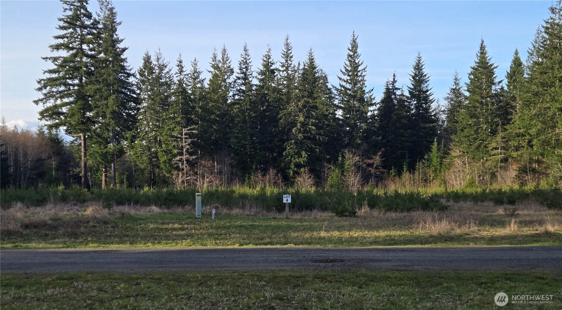 9999 Sawyer Way Forks, WA 98331 - Photo 4 of 9