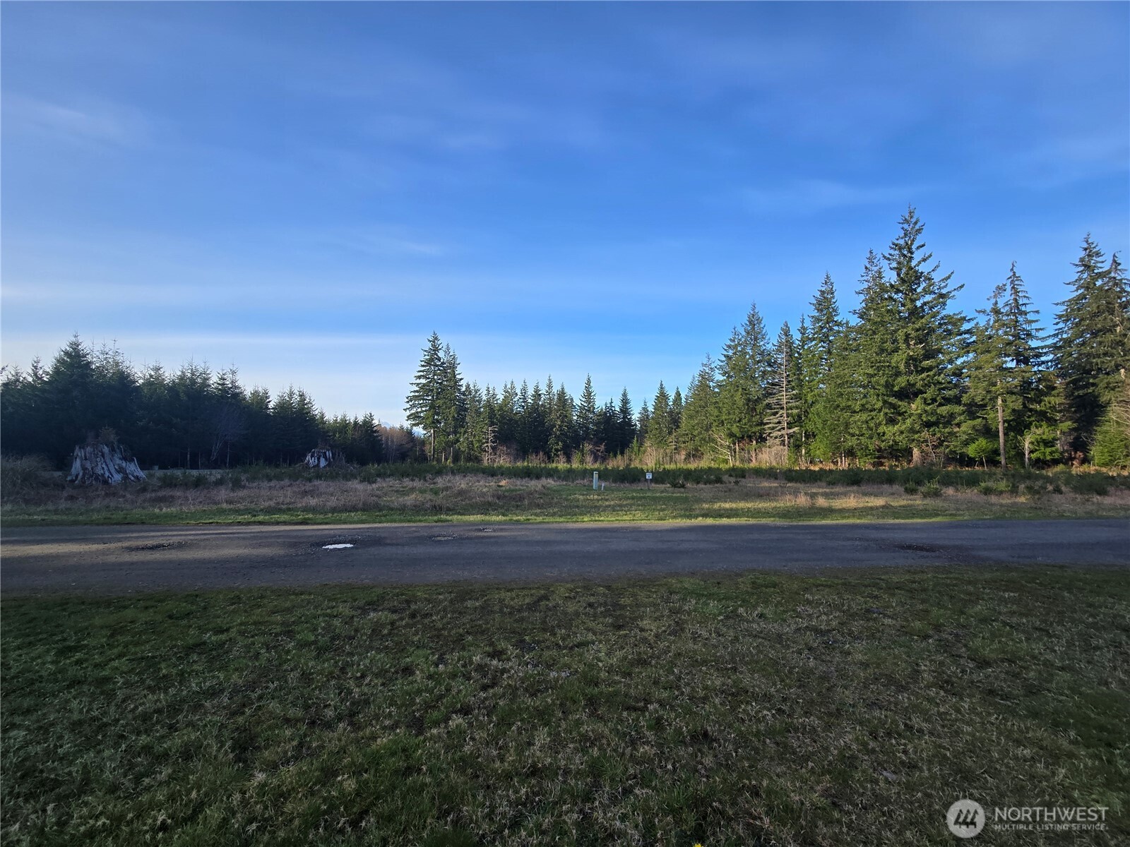 9999 Sawyer Way Forks, WA 98331 - Photo 5 of 9