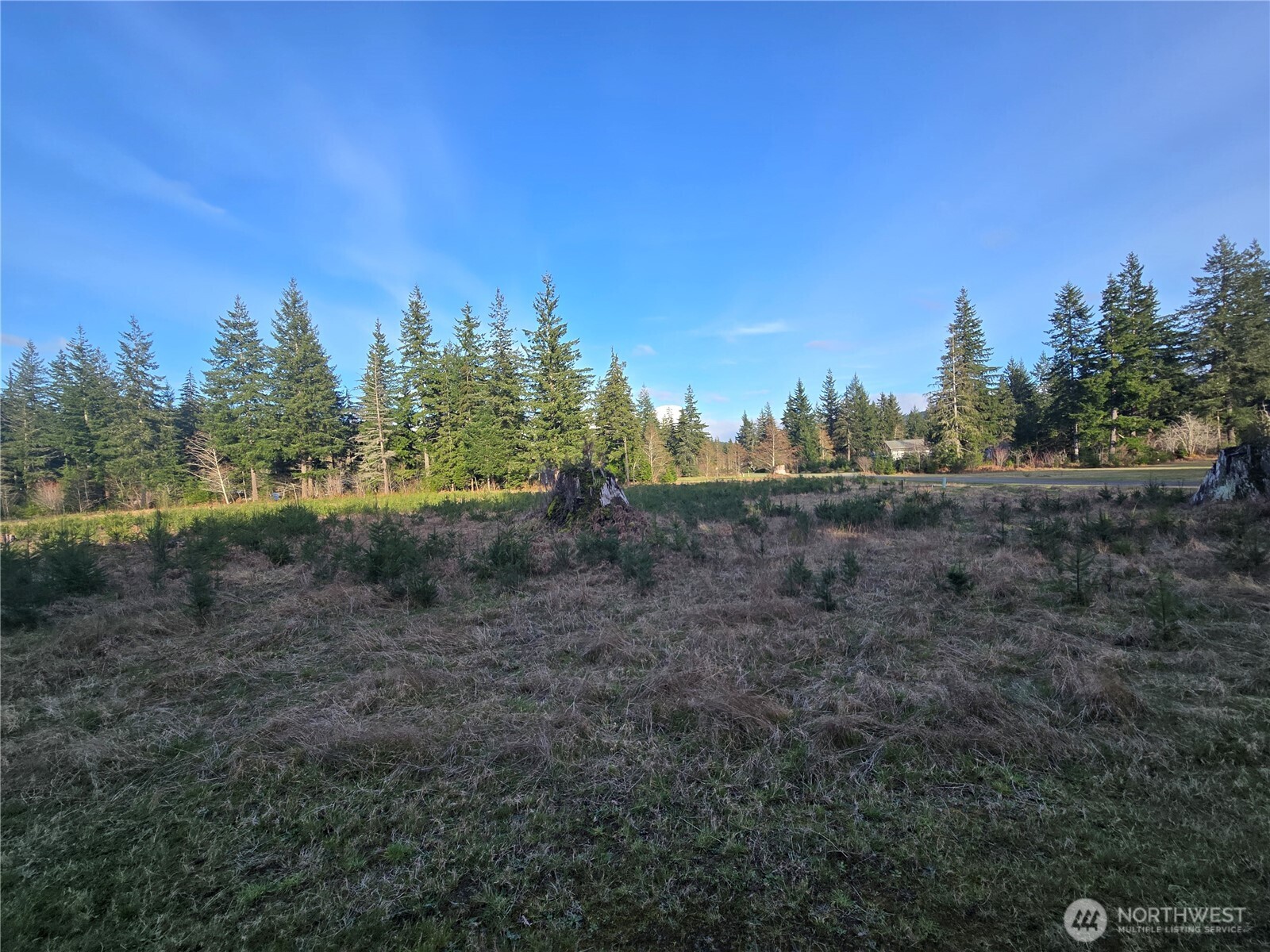 9999 Sawyer Way Forks, WA 98331 - Photo 6 of 9