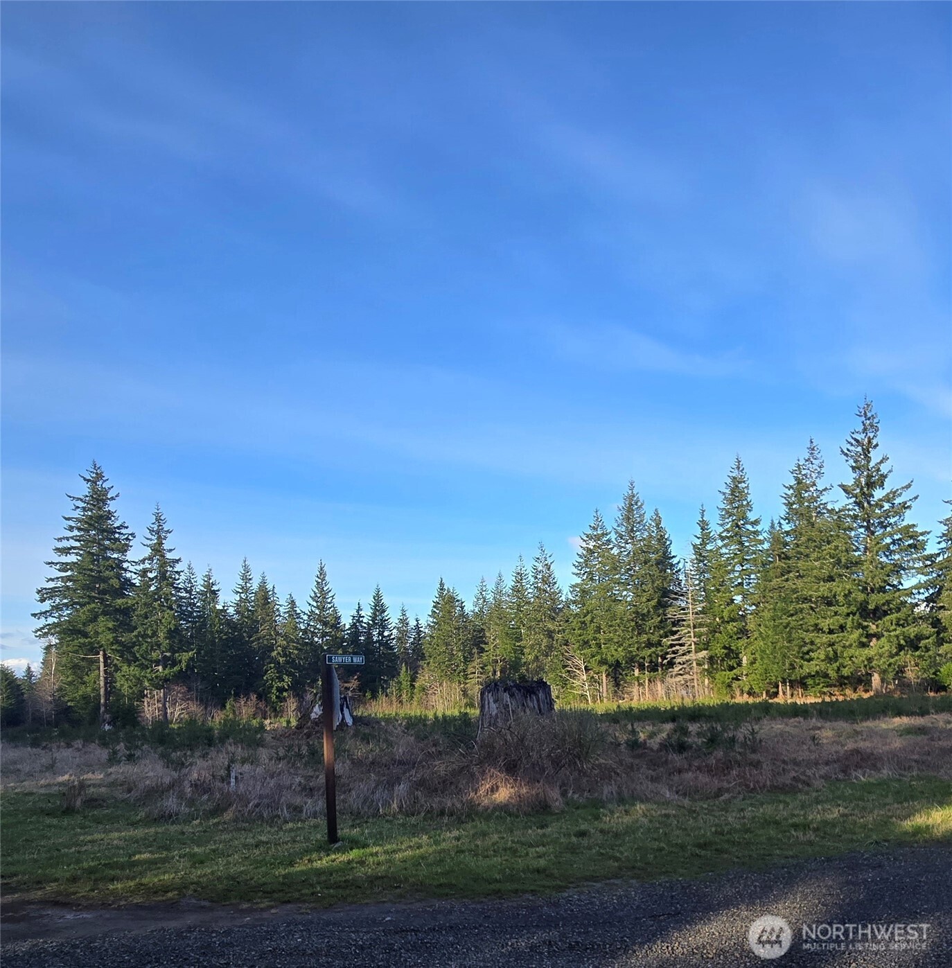 9999 Sawyer Way Forks, WA 98331 - Photo 7 of 9