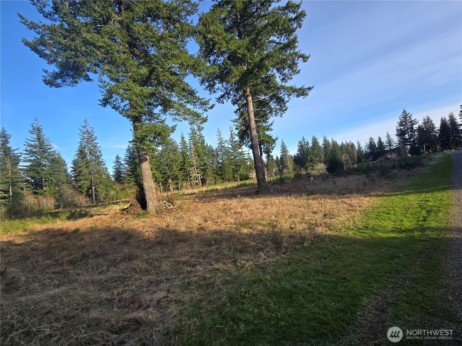 9999 Sawyer Way Forks, WA 98331 - Photo 8 of 9