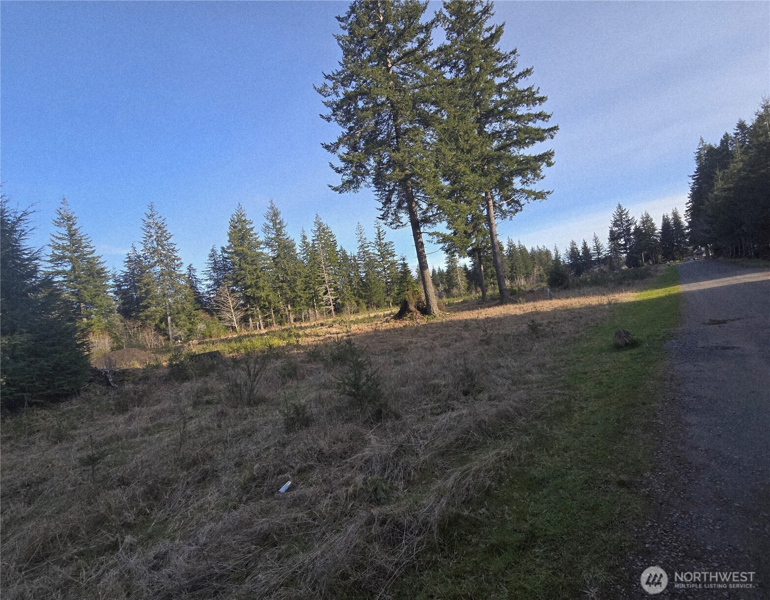 9999 Sawyer Way Forks, WA 98331 - Photo 9 of 9