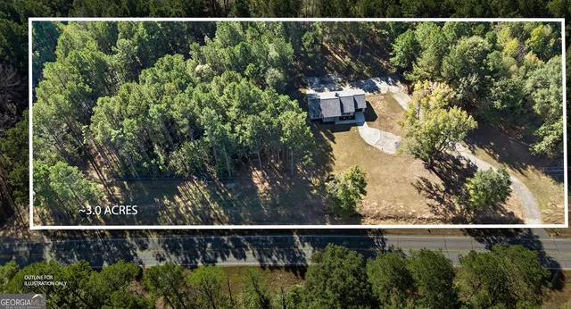 a view of a yard with plants and a large tree
