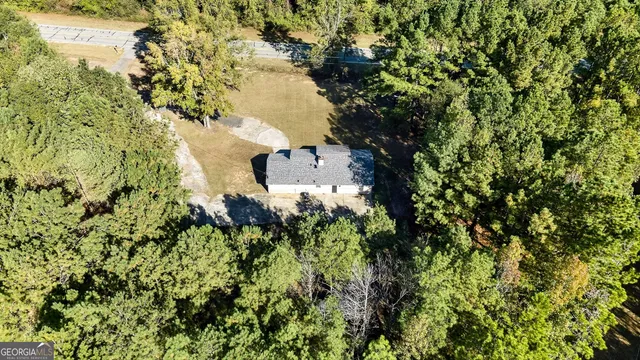a view of a tree in a garden