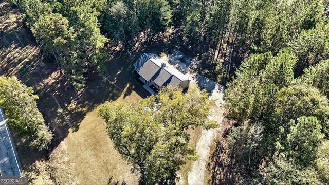 swimming pool view with large trees and barbeque oven