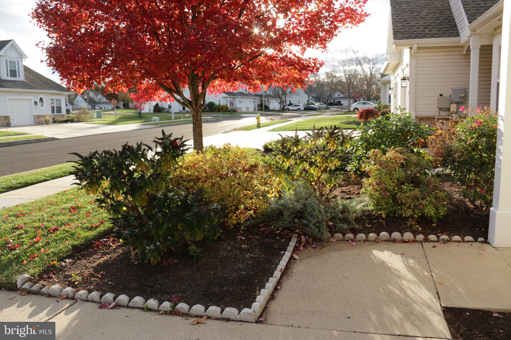 114 Progress Drive Doylestown, PA 18901 - Photo 3 of 27 Front Garden