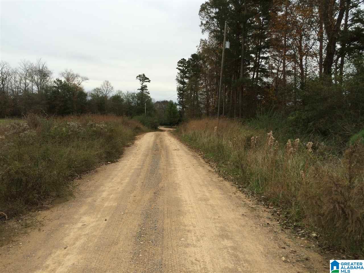 Posey Lane, Unit 11 Union Grove, AL 35175 - Photo 4 of 12
