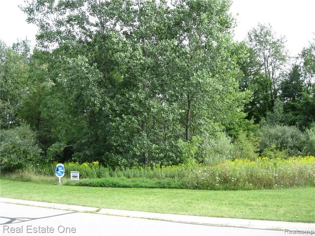 2195 Sundance Ridge, Unit 15 Howell, MI 48843 - Photo 3 of 24