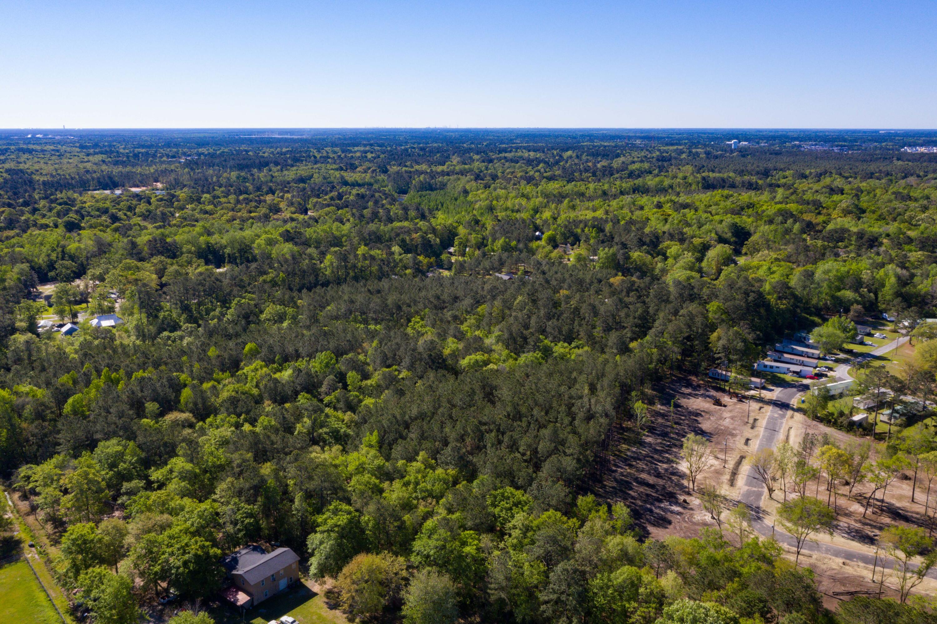 0 Tillman Branch Road Summerville, SC 29486 - Photo 8 of 9 EYE-9207