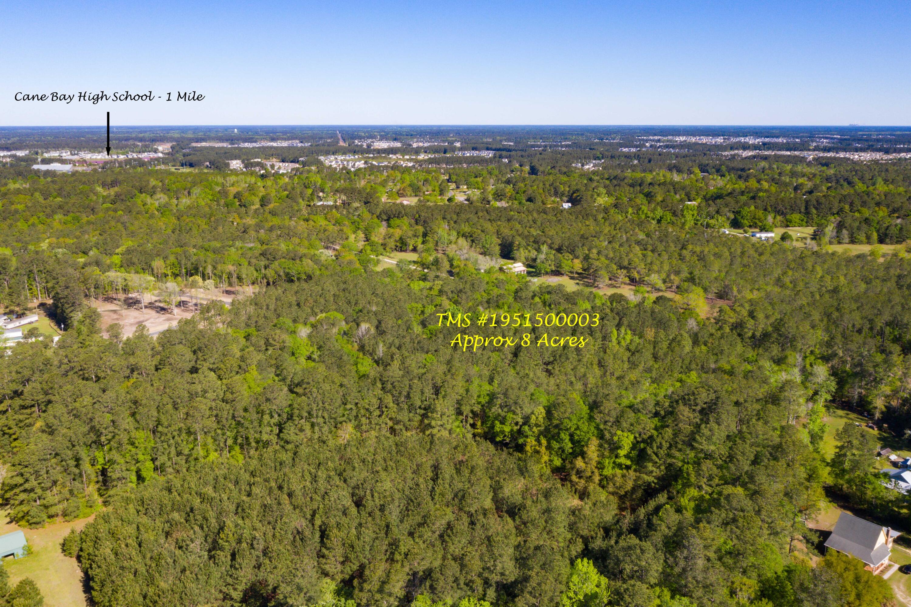 0 Tillman Branch Road Summerville, SC 29486 - Photo 9 of 9 EYE-9201