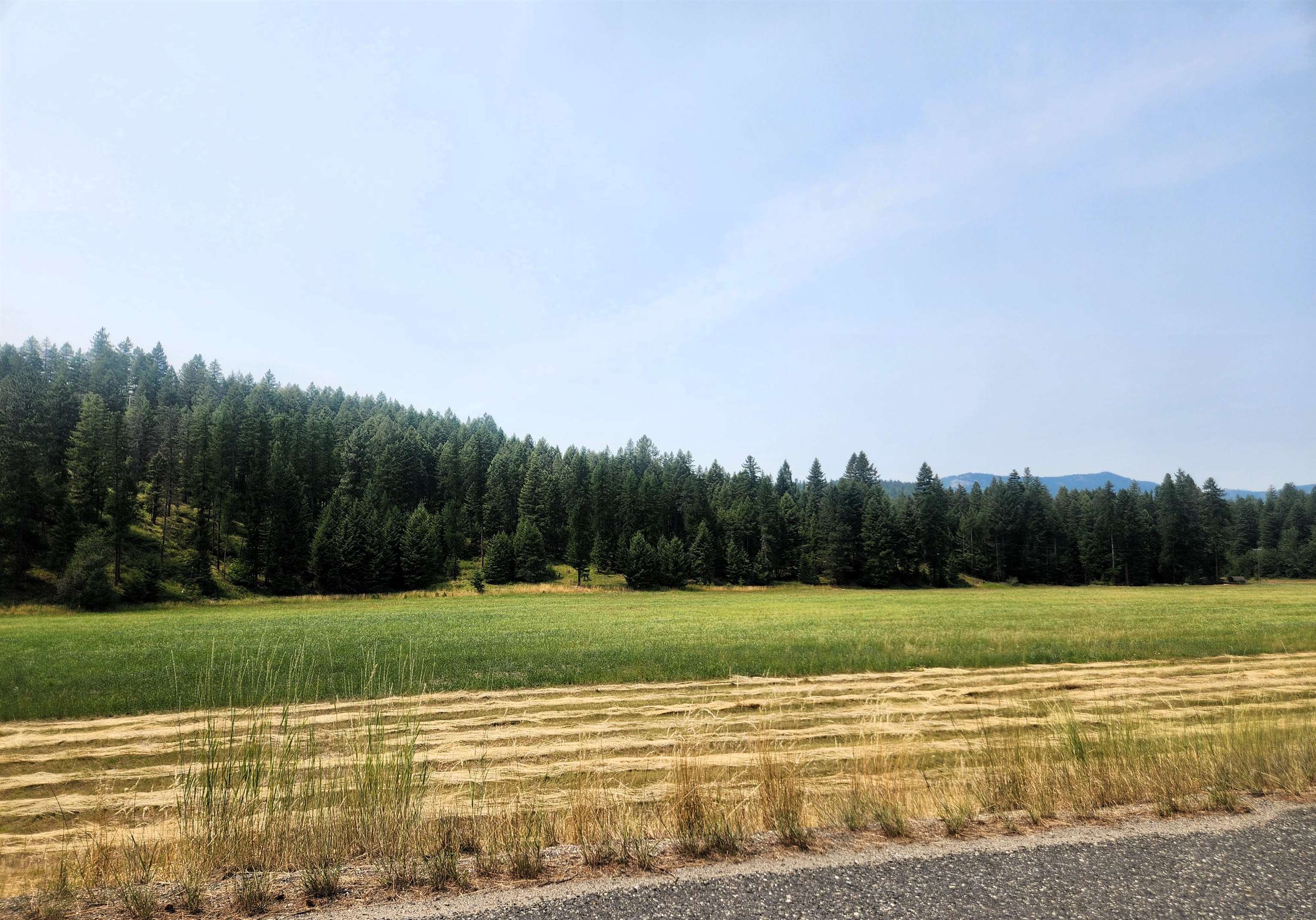 942 Basin Road Colville, WA 99114 - Photo 5 of 19