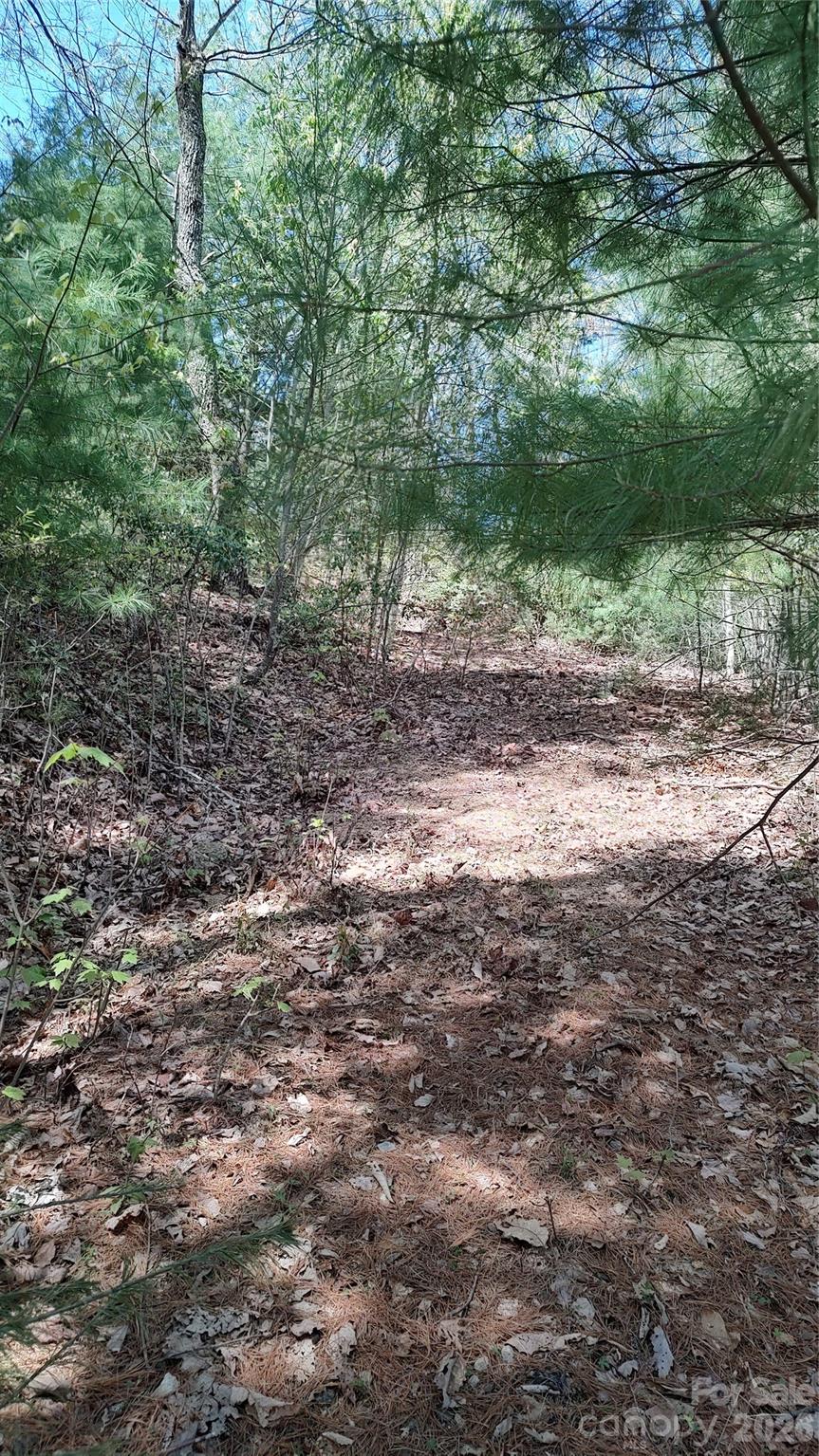 0 Staghorn Road Purlear, NC 28665 - Photo 6 of 6