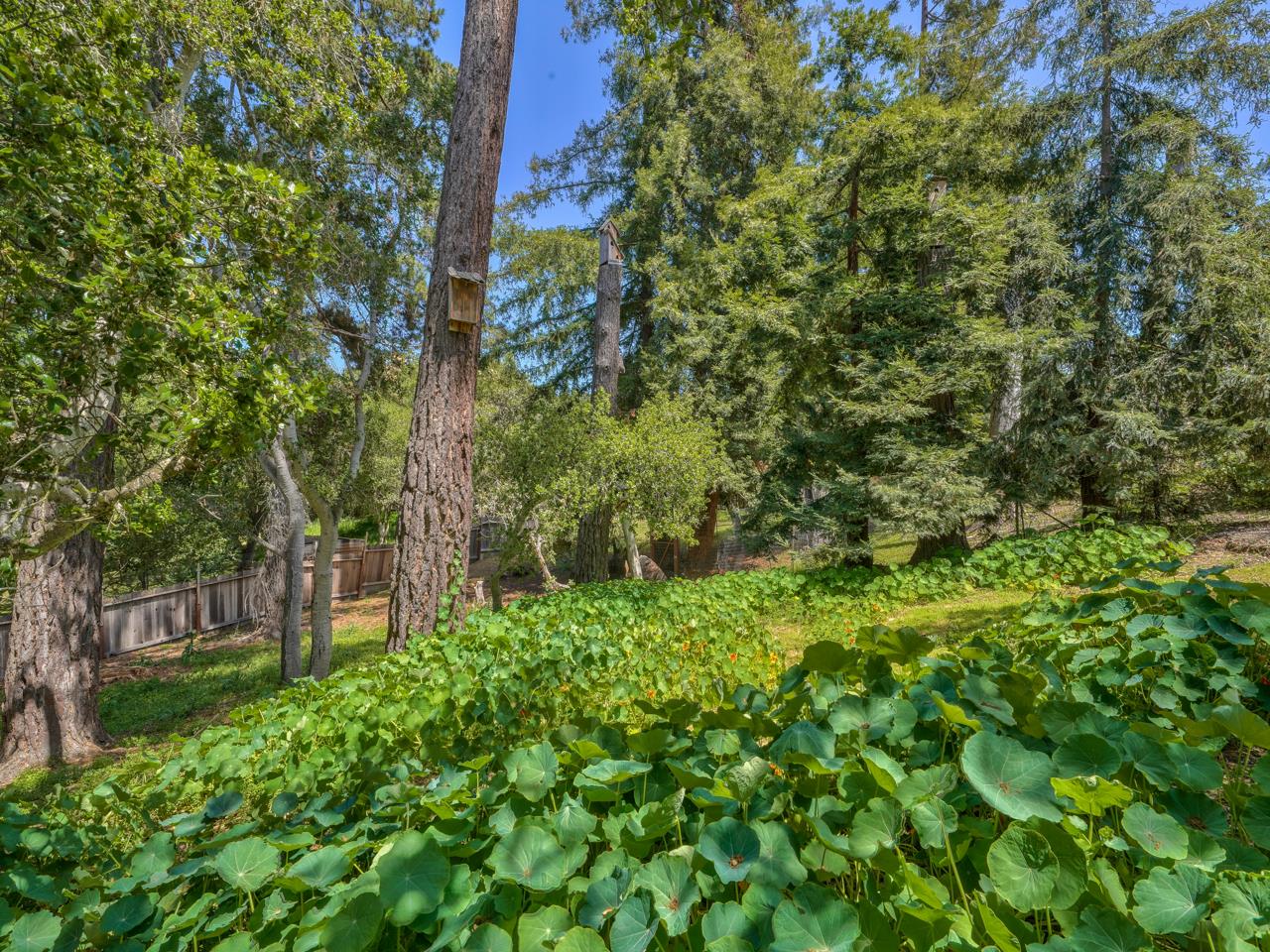 1289 Sylvan Road Monterey, CA 93940 - Photo 18 of 40 Gallery Image 18