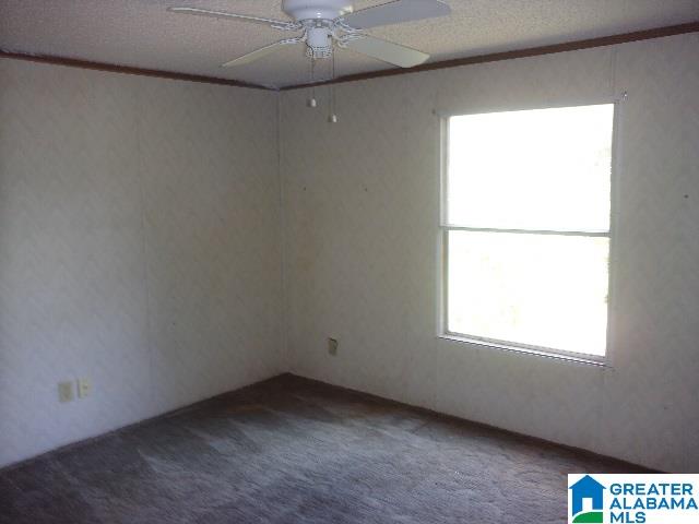 167 Country View Road Odenville, AL 35120 - Photo 10 of 10