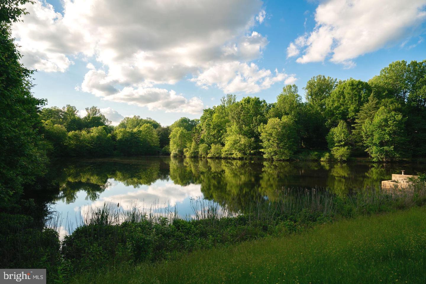 1393 Heritage Oak Way Reston, VA 20194 - Photo 62 of 80 a view of a lake from a yard