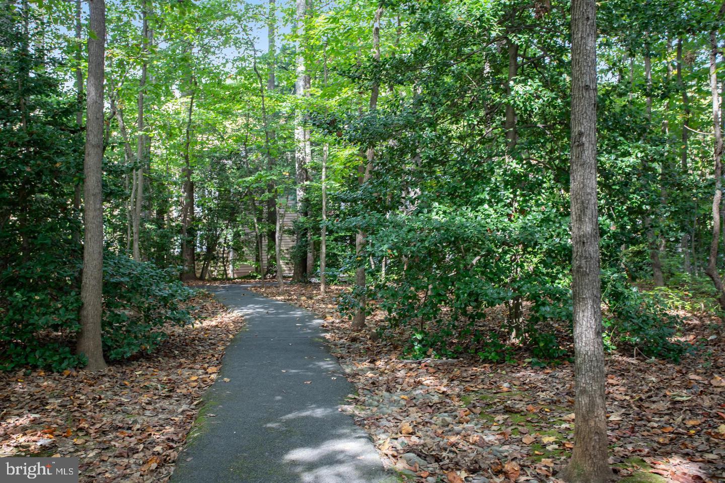 1393 Heritage Oak Way Reston, VA 20194 - Photo 68 of 80 a view of a road with trees in the background
