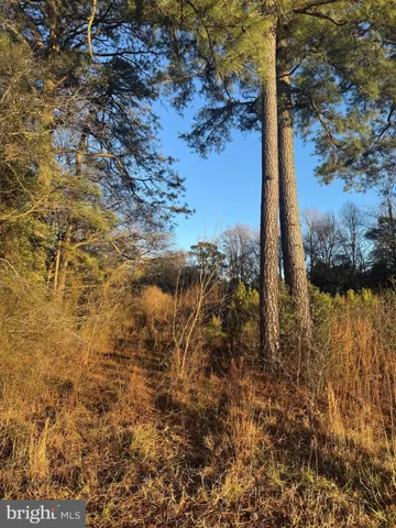 $30,000 | 8313 Littleton Road, Willards, MD 21874