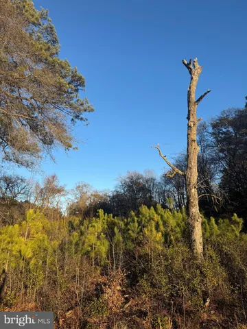 $30,000 | 8313 Littleton Road, Willards, MD 21874