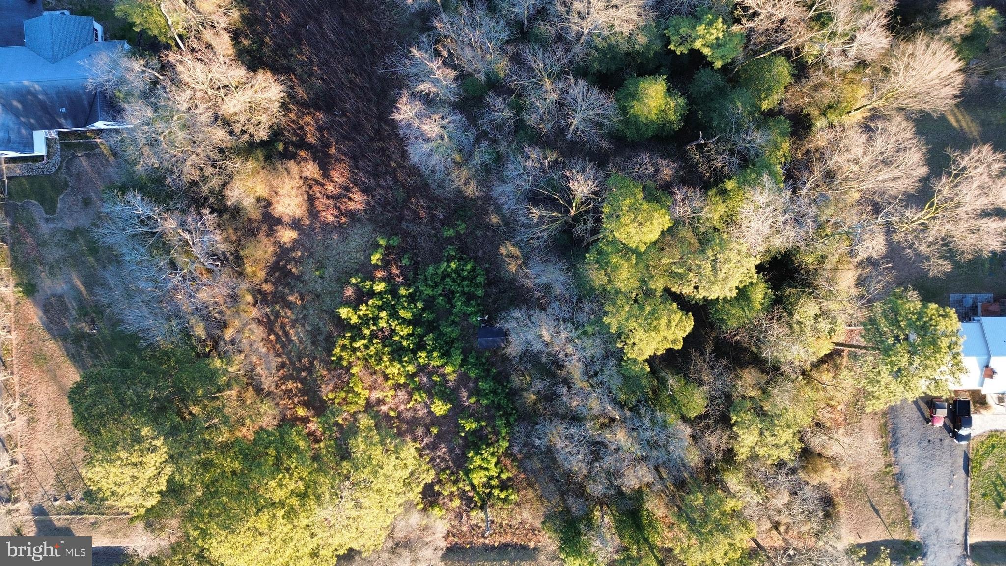 8313 Littleton Road Willards, MD 21874 - Photo 2 of 14