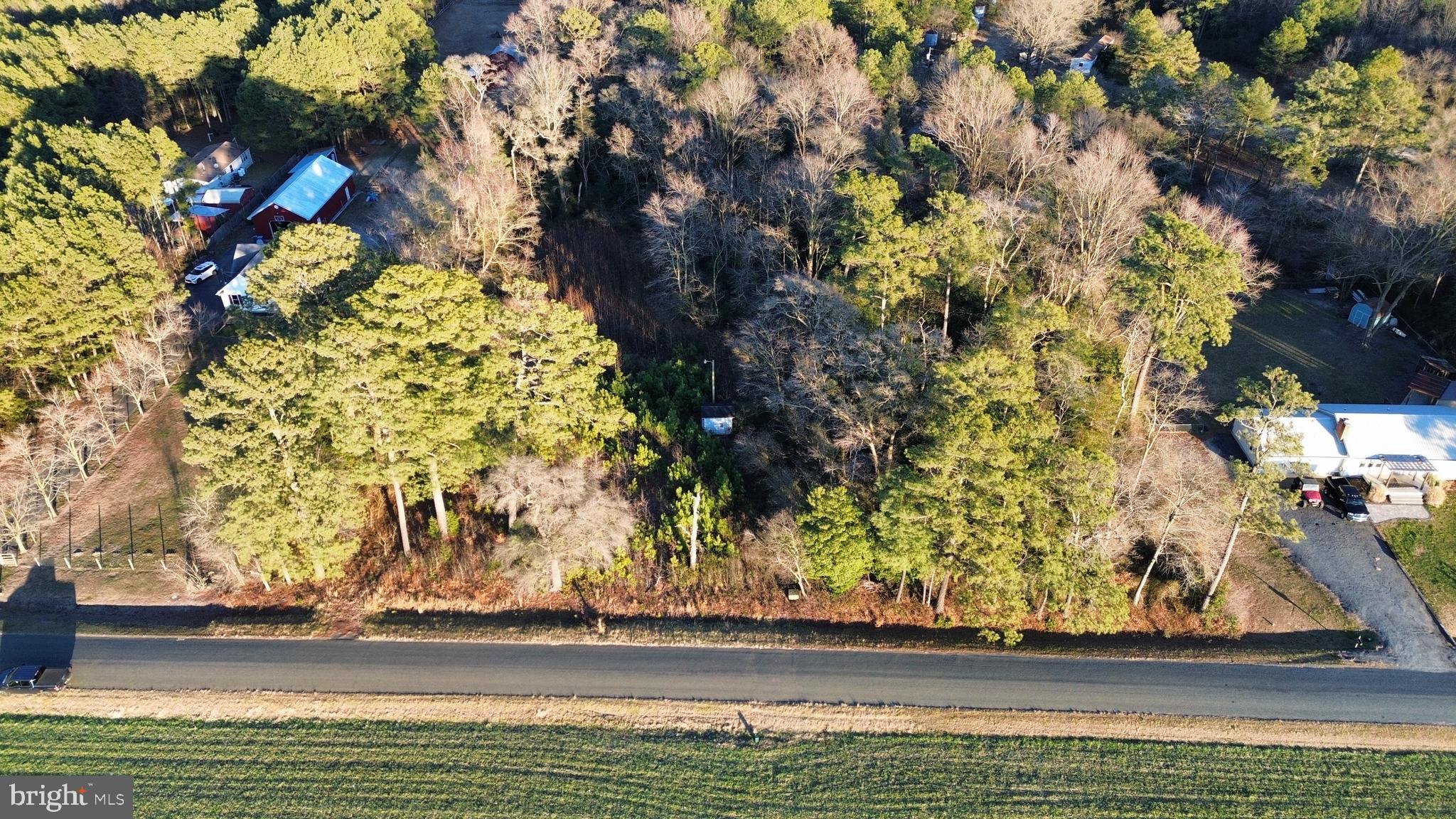 8313 Littleton Road Willards, MD 21874 - Photo 4 of 14