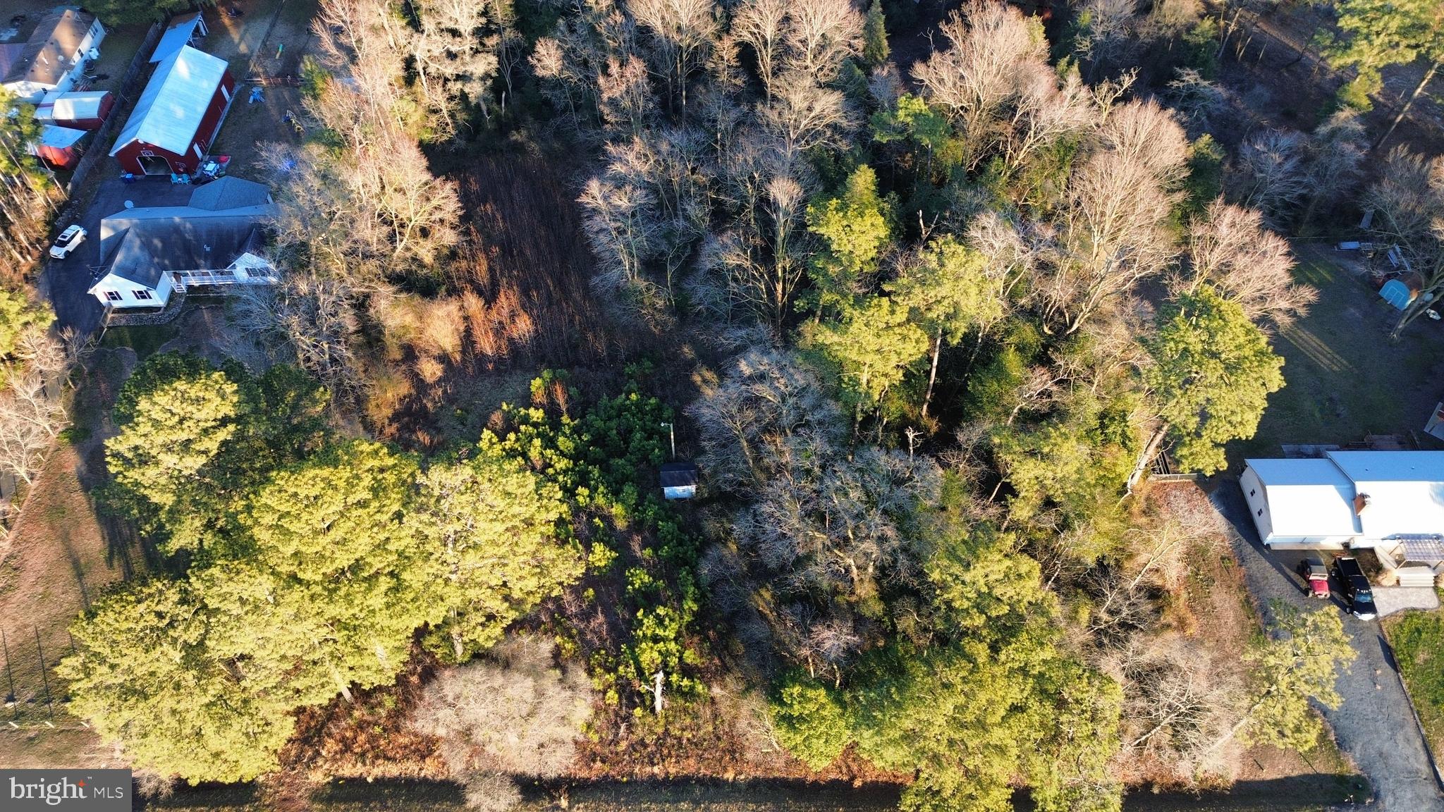 8313 Littleton Road Willards, MD 21874 - Photo 5 of 14