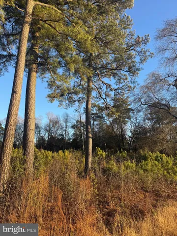 $30,000 | 8313 Littleton Road, Willards, MD 21874