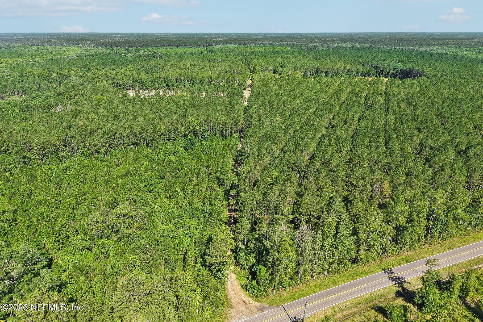 0 Coopers Neck Road Hilliard, FL 32046 - Photo 14 of 15 14-web-or-mls-Coopers Neck Rd-S2506-012