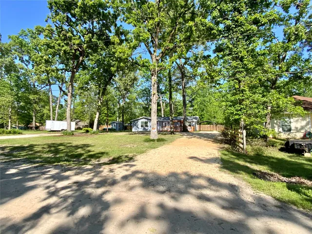 a view of a park with large trees