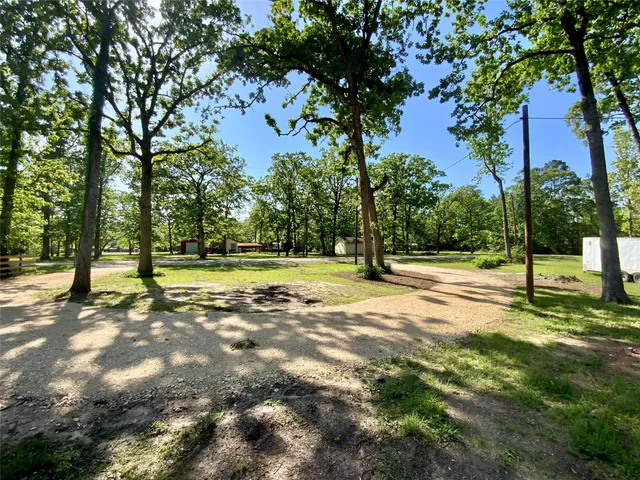 a view of a yard with a tree
