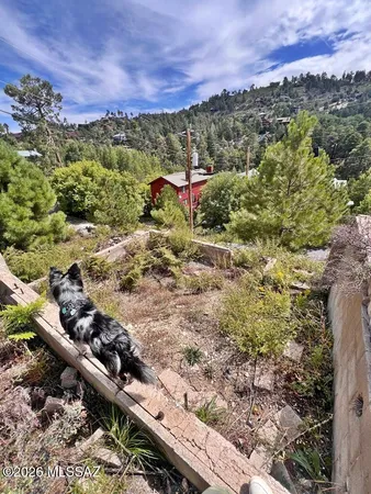$109,000 | 12773 North Phoenix Avenue, Unit 4 & 5, Mount Lemmon, AZ 85619