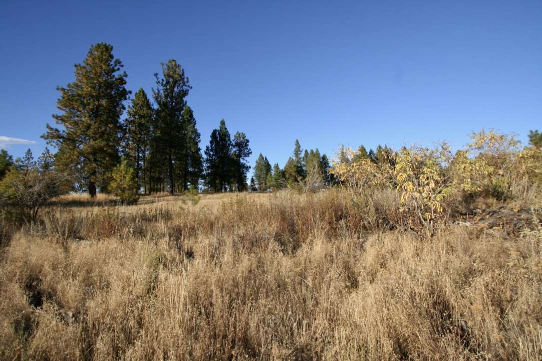 12298 South Valley Chapel Road, Unit APPROX Valleyford, WA 99036 - Photo 10 of 20 Gallery Image 10
