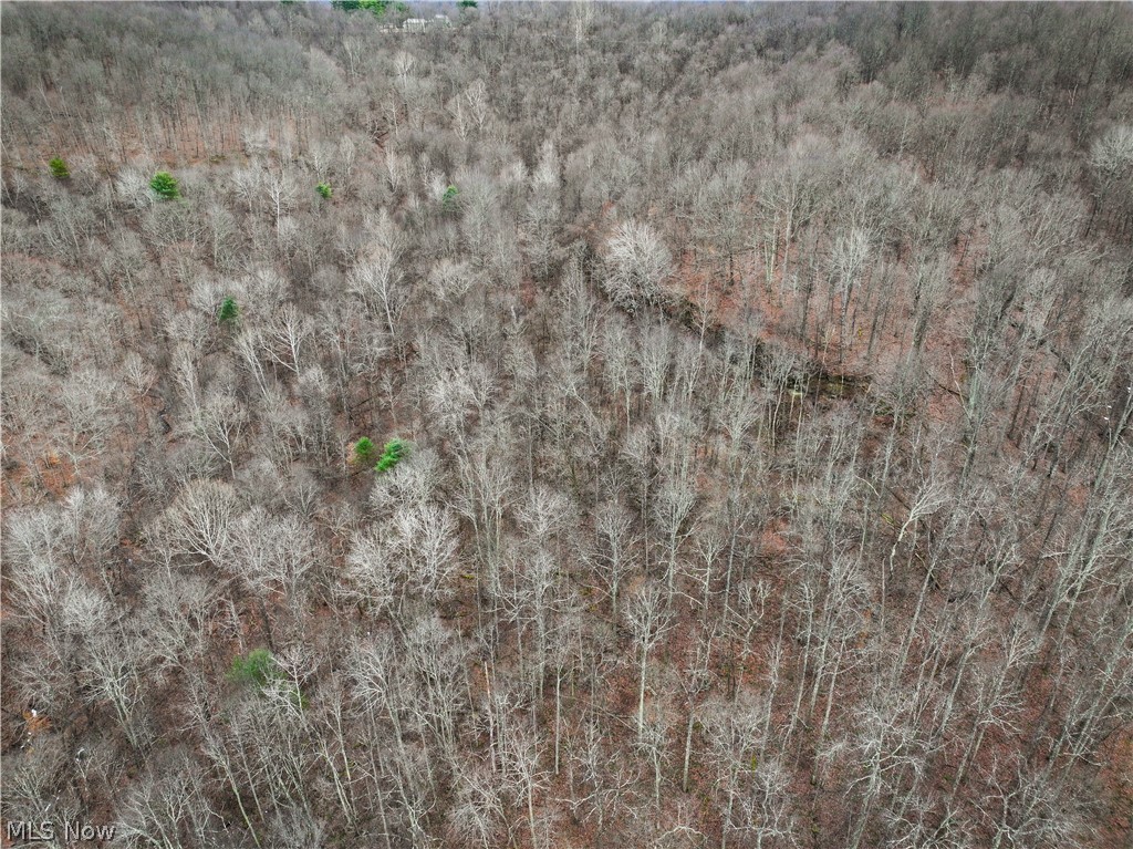 13 Ayers Ridge Lower Salem, OH 45745 - Photo 20 of 32 Bird's eye view of a forest