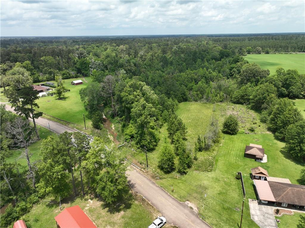 10125 Richardson Road Independence, LA 70443 - Photo 4 of 14 Gallery Image 4