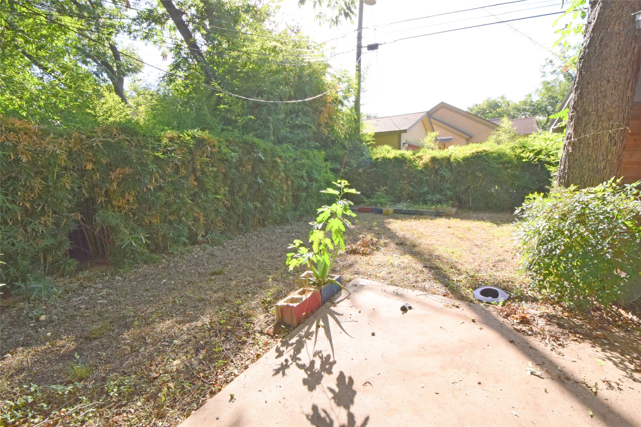 2801 Lafayette Avenue, Unit B Austin, TX 78722 - Photo 13 of 13 a view of a yard with a tree