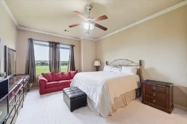 a bedroom with a large bed and a chandelier