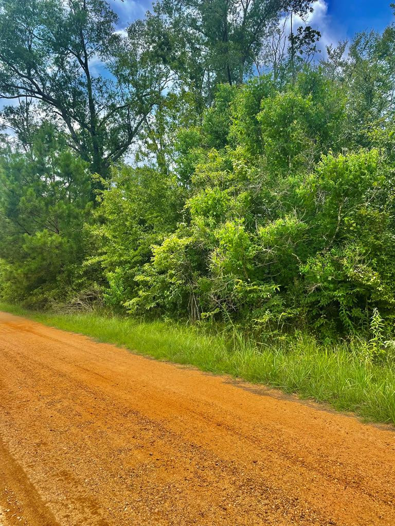 0 Lazy Creek Road Summit, MS 39666 - Photo 1 of 6 Main View