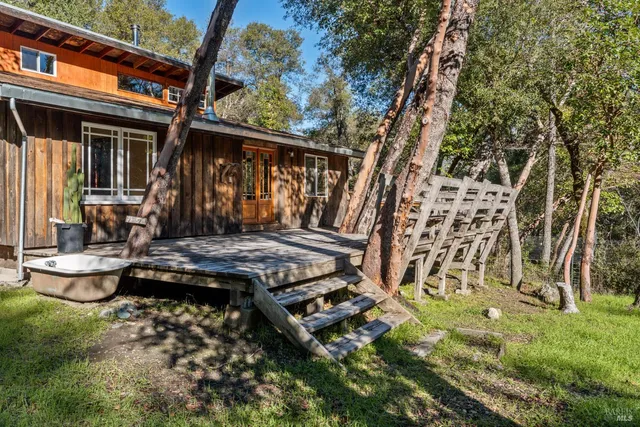 a view of a house with a tree in the forest