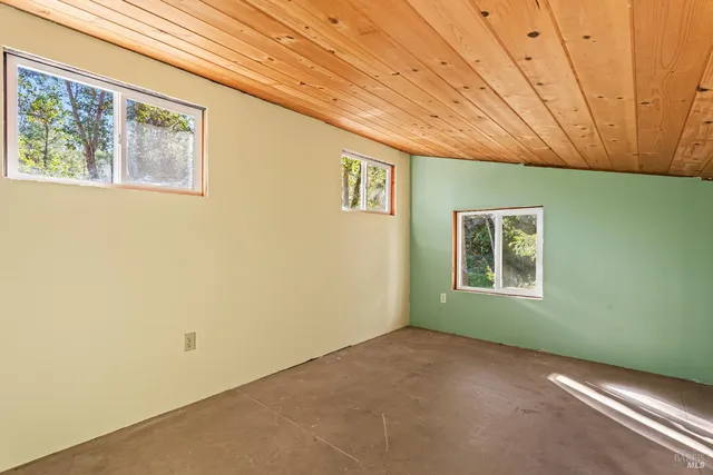 a view of a forest with mountain view