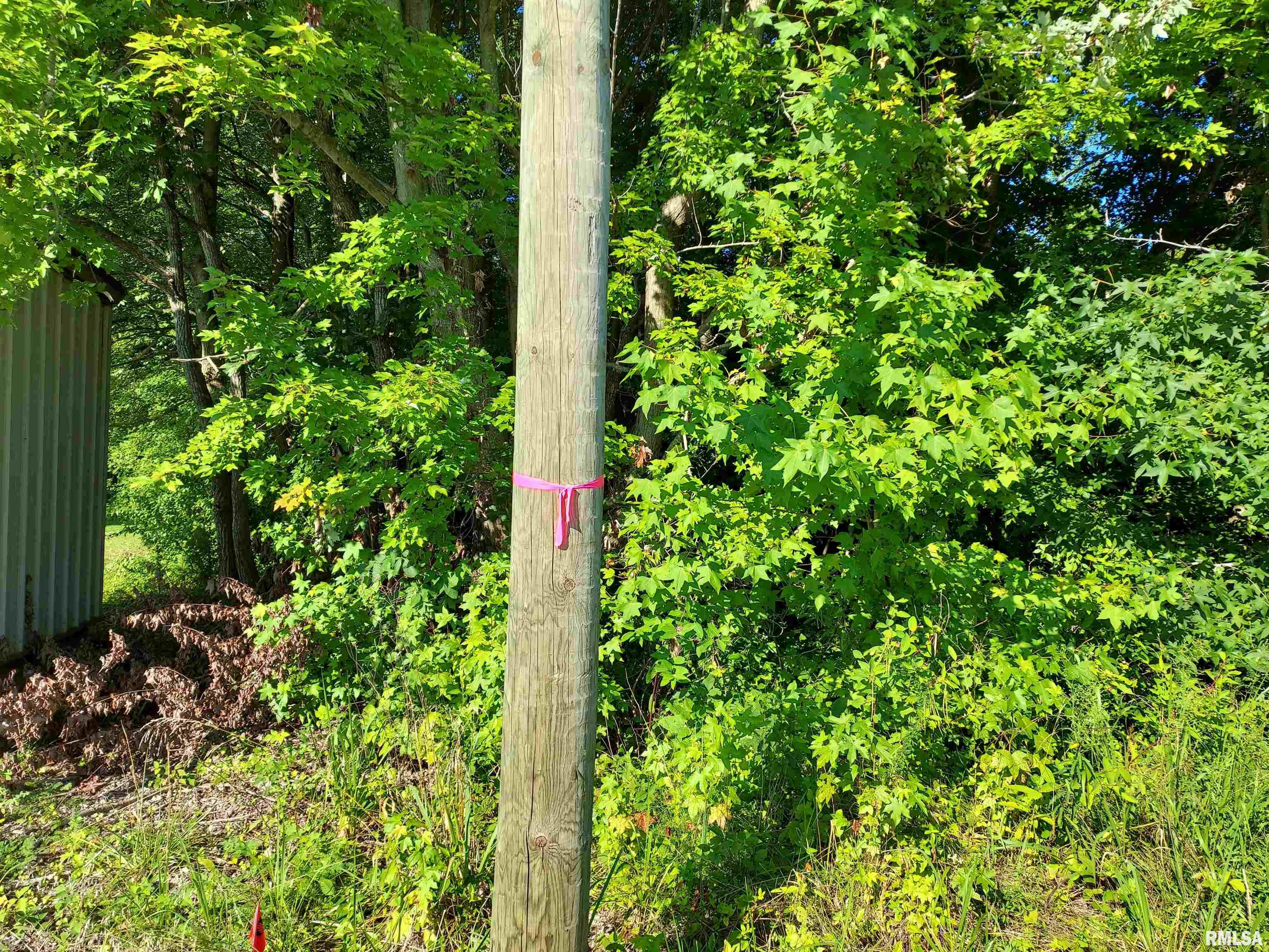 6660 State Rte 146 East Vienna, IL 62995 - Photo 8 of 8