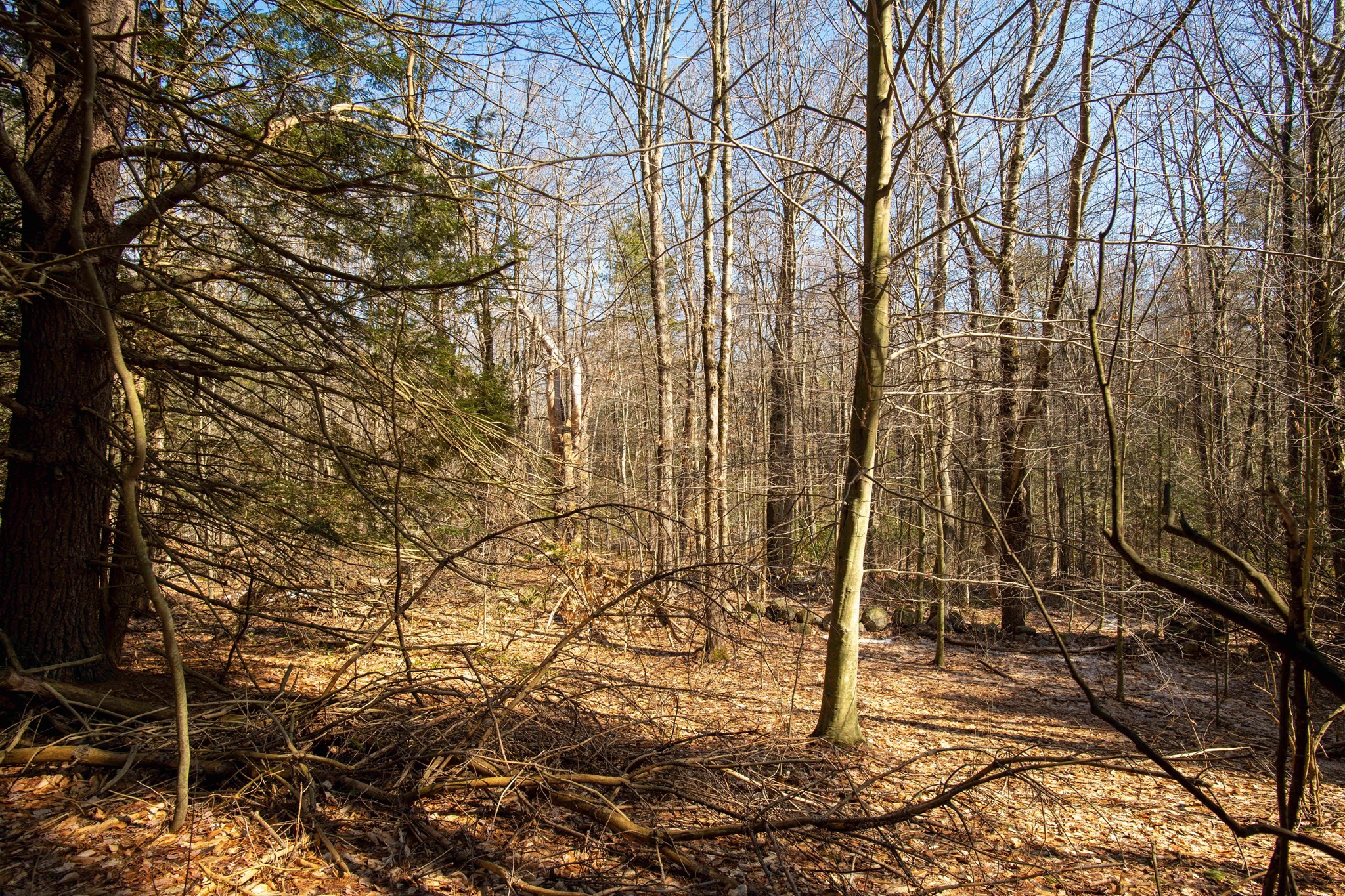 115 Lyon Hill Road Chester, MA 01011 - Photo 12 of 19 Gallery Image 12