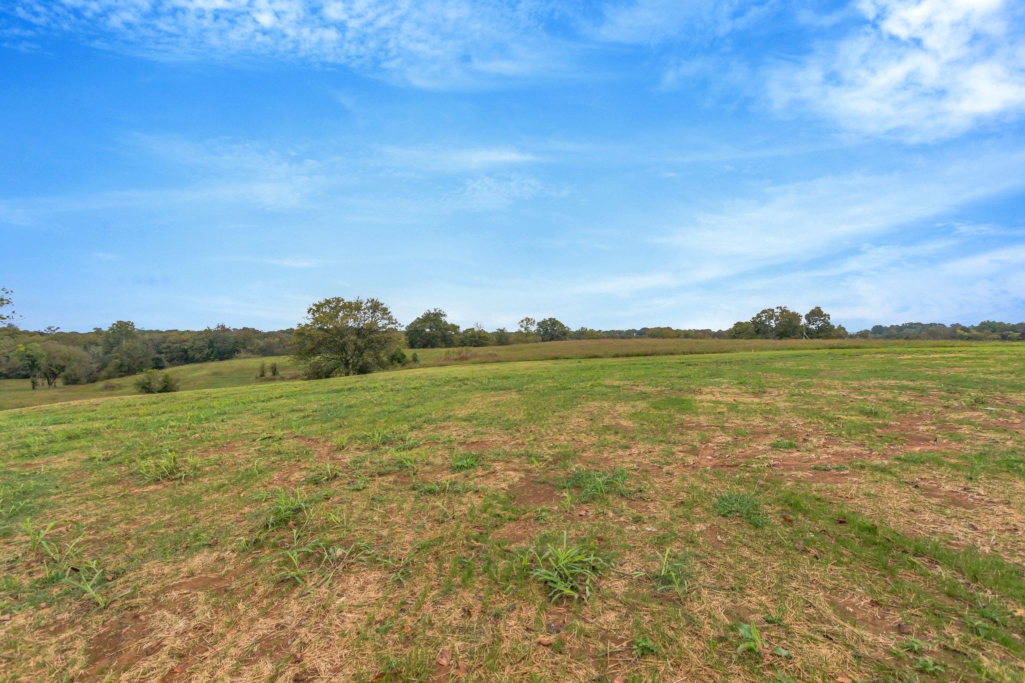 1613 John Sharp Road Spring Hill, TN 37174 - Photo 54 of 58 Gallery Image 54