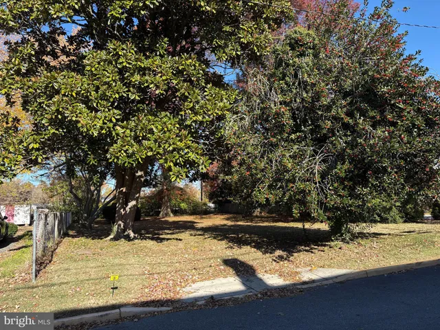 a view of a backyard of white house