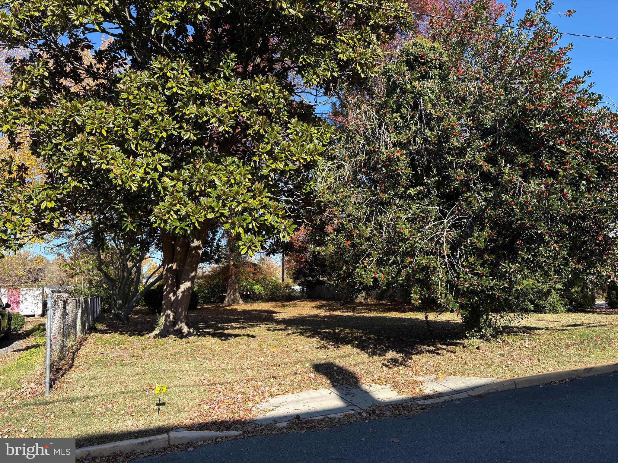 0 Grace St. Michaels, MD 21663 - Photo 4 of 10 a view of a backyard of white house