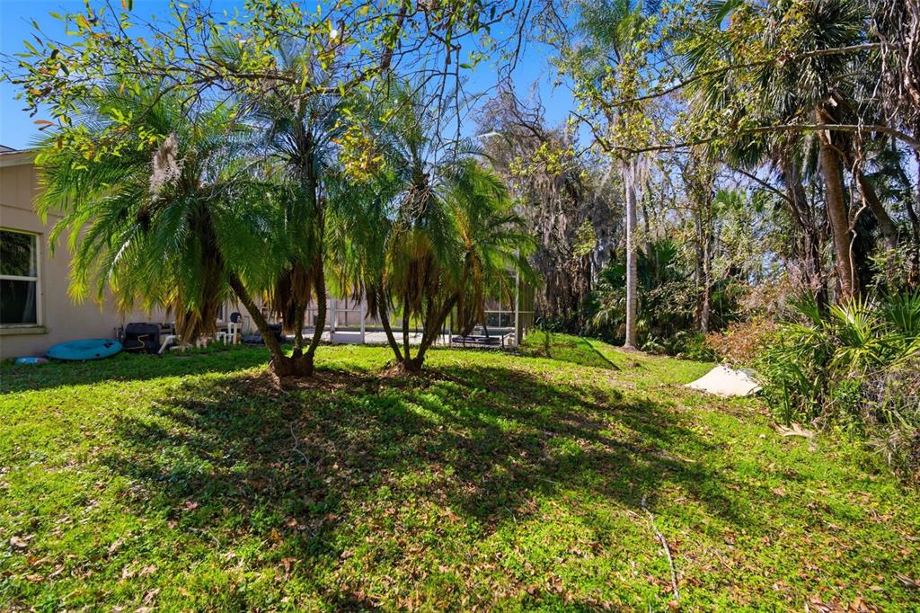 28427 Openfield Loop Wesley Chapel, FL 33543 - Photo 50 of 60 Gallery Image 50