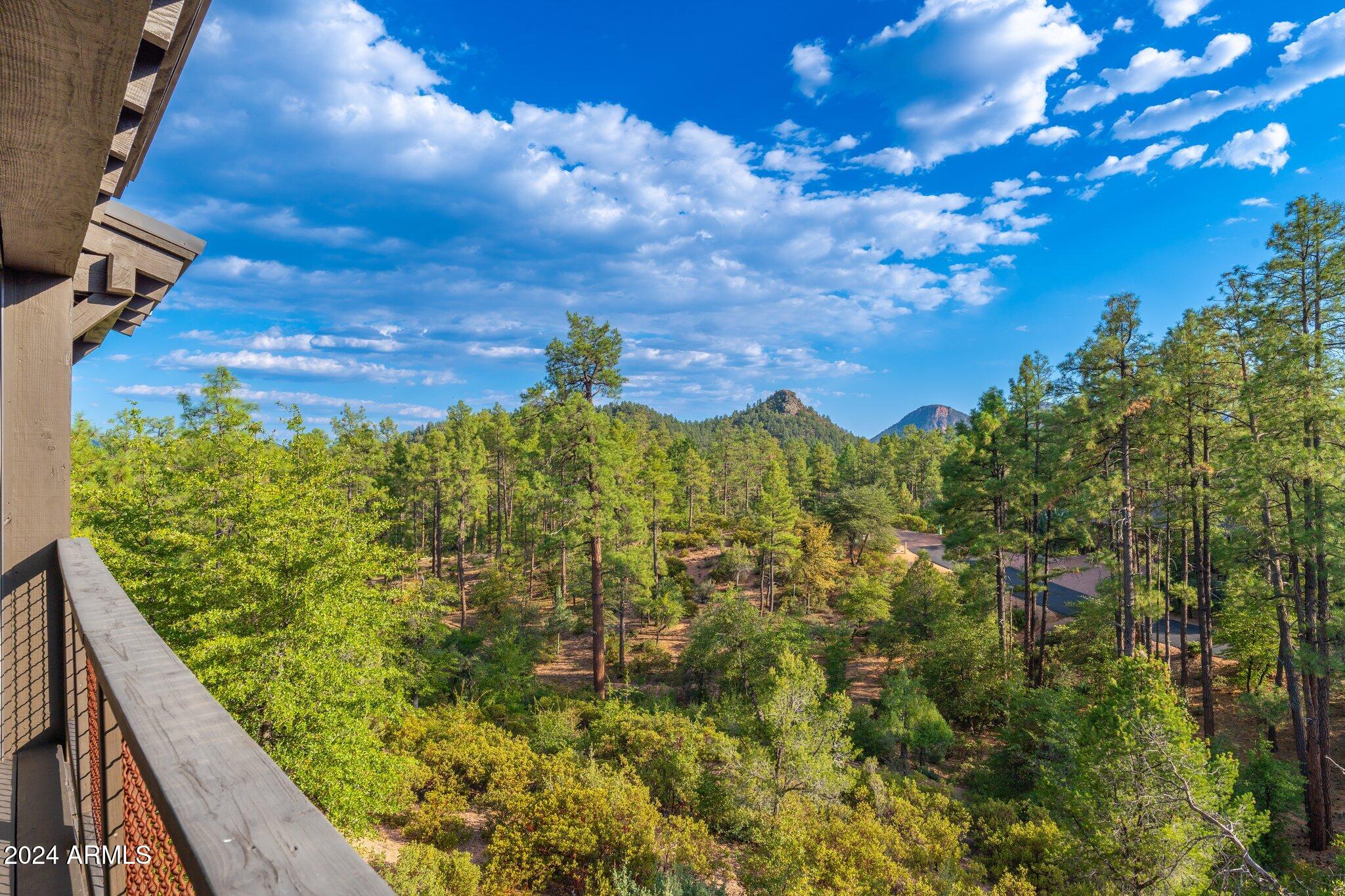 3007 East Arrow Point Payson, AZ 85541 - Photo 52 of 76 3007 E Arrow Point - 51