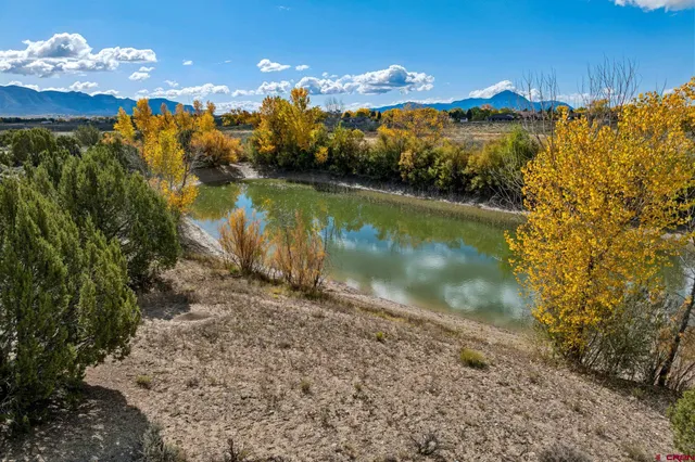 a view of an ocean beach