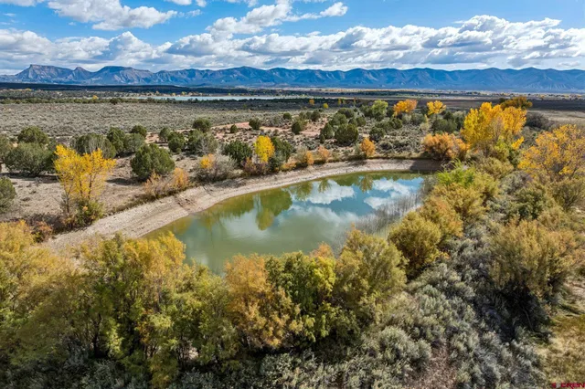 a view of an ocean and beach