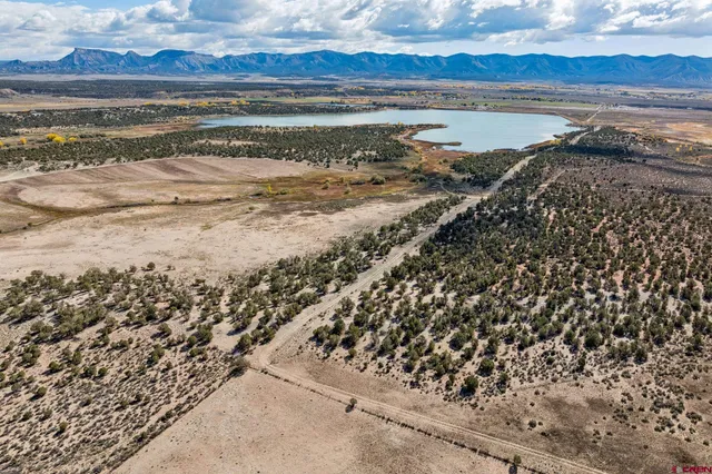 a view of an ocean and beach