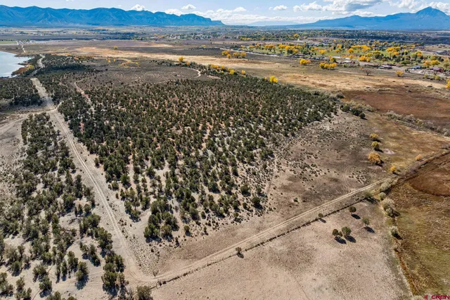 a view of an outdoor space and yard